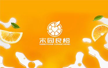 某良橙——平顶山LOGO设计