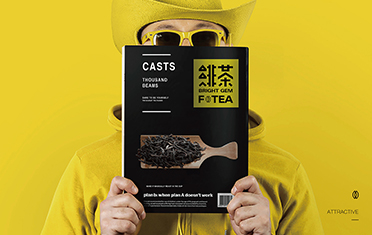 平顶山绯茶品牌设计